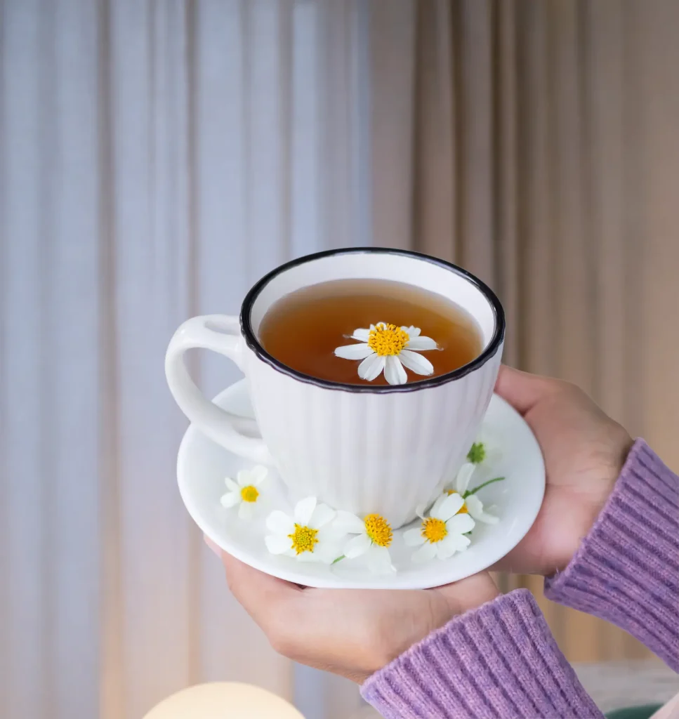 Chamomile tea natural remedy for menopause insomnia - herbal sleep aid held in hands with fresh flowers
