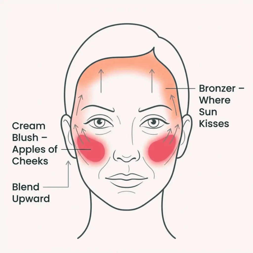 Infographic showing proper cream blush and bronzer placement for mature skin makeup tutorial women over 50